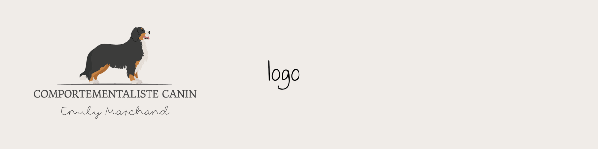 Banner - your dream, we create it - logo